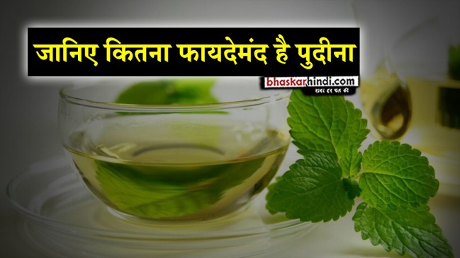 गर्मियों में लू लगने से लेकर कई सारे नुकसान से बचाता है पुदीना
