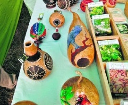 Stunned by  ecofrentaly arts  on gourds, turkeys, and pumpkins in nagpur