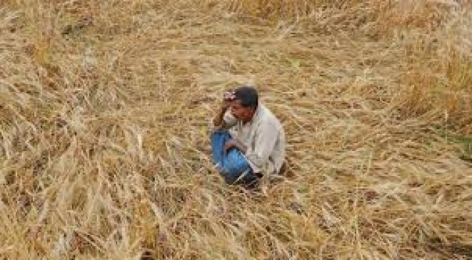 The companies are ignoring to give crop insurance to the farmers
