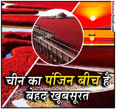 कभी नहीं देखा होगा ऐसा नजारा, यहां लाल है समंदर का किनारा
