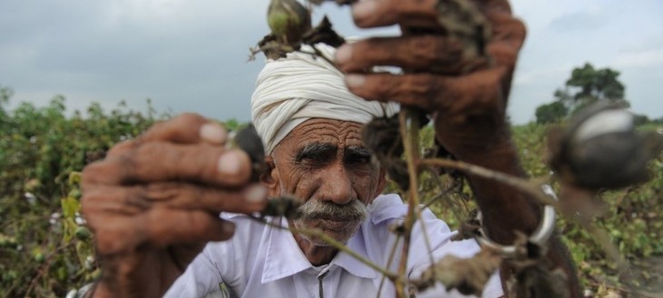 12000 farmers of Nagpur district now get benefit of debt relief from 2001