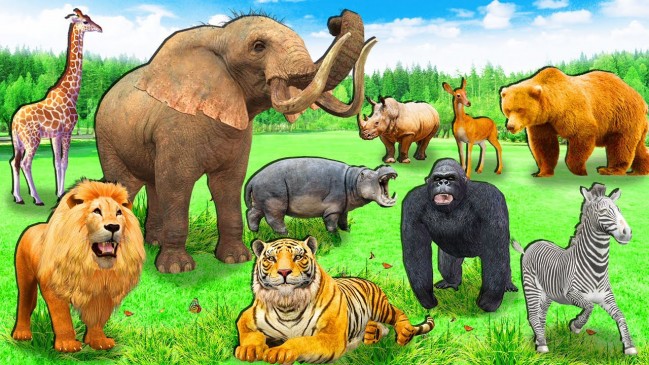 14 crore approved for the primary work of Nagpurs Gorevada Zoo