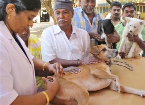 40 veterinary clinics in Nagpur have been awarded the ISO standard