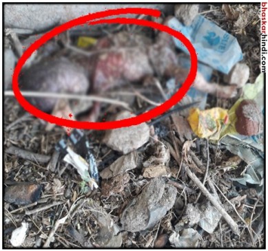 6 month embryo was found in the bushes of Rabbani Ground
