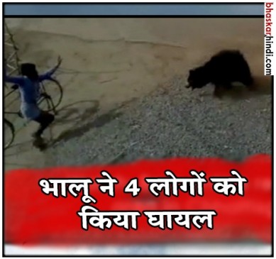 छग: गांव में घुसा भालू. 4 लोगों पर किया हमला 