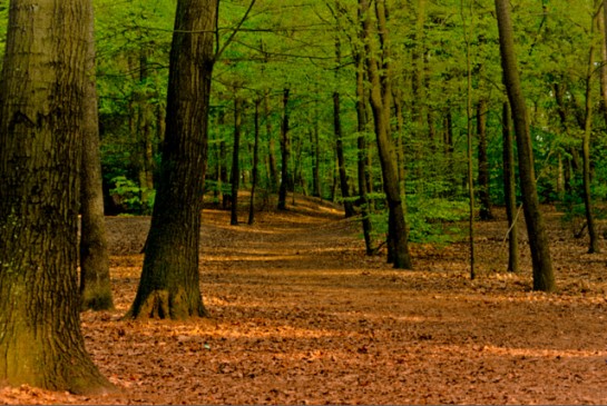 Government has issued circular for name of land holder lease