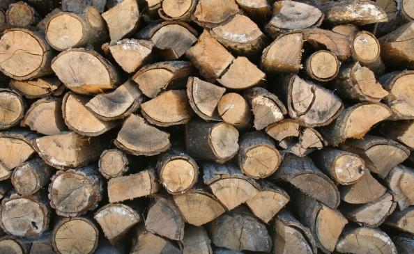 Government has passed a ordinance to end forest development cess