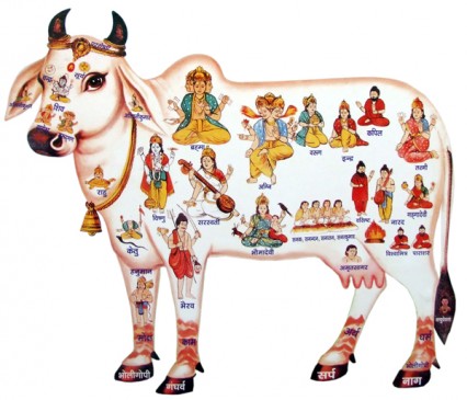 क्यों गाय को हिन्दू धर्म शास्त्र में विशेष महत्व दिया जाता हे? 