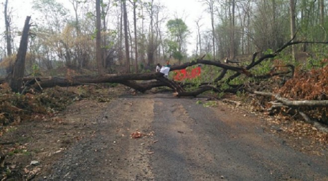 Naxalites Incitement in Bhamragarh Tehsil, burnt a wood depot