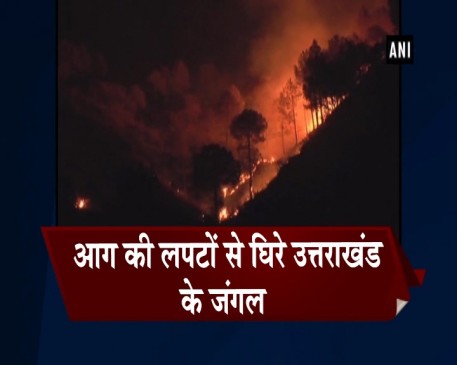 उत्तराखंड: श्रीनगर-गढ़वाल के जंगलों में लगी आग, सो रहा वन विभाग उत्तराखंड: श्रीनगर-गढ़वाल के जंगलों में लगी आग, सो रहा वन विभाग