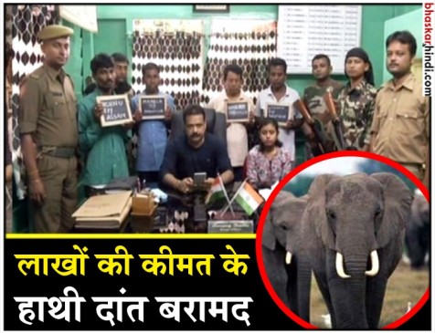 पश्चिम बंगाल : हाथी दांत की तस्करी करते इंजीनियर सहित 4 गिरफ्तार पश्चिम बंगाल : हाथी दांत की तस्करी करते इंजीनियर सहित 4 गिरफ्तार