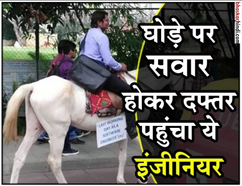 नौकरी के आखिरी दिन घोड़े पर कुछ यूं ऑफिस पहुंचा सॉफ्टवेयर इंजीनियर नौकरी के आखिरी दिन घोड़े पर कुछ यूं ऑफिस पहुंचा सॉफ्टवेयर इंजीनियर
