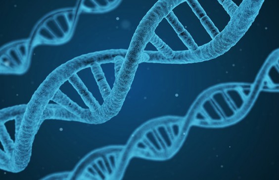 For Youth - Strong alternative career in Genetic engineering