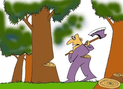 forest department give condensation power to four officers for normal forest crimes