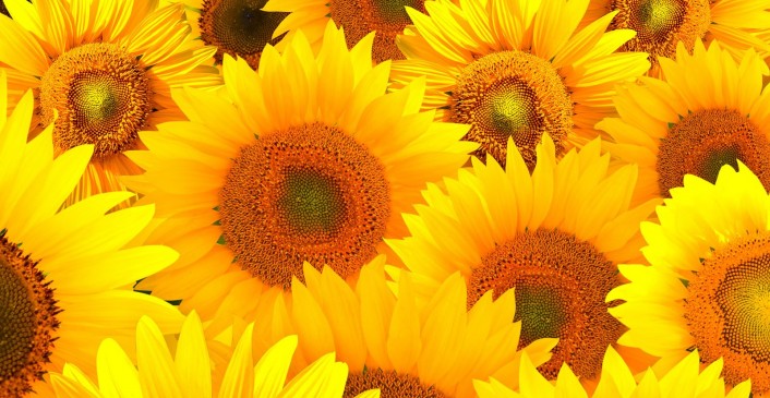 Many things related to daily life give Auspicious and inauspicious signs Many things related to daily life give Auspicious and inauspicious signs