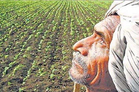 Seeds worth crores are buried in farm but no germination is seen