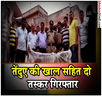 तेंदुए की खाल और हड्डियों के साथ दो तस्कर गिरफ्तार, किया था तेंदुए का शिकार तेंदुए की खाल और हड्डियों के साथ दो तस्कर गिरफ्तार, किया था तेंदुए का शिकार
