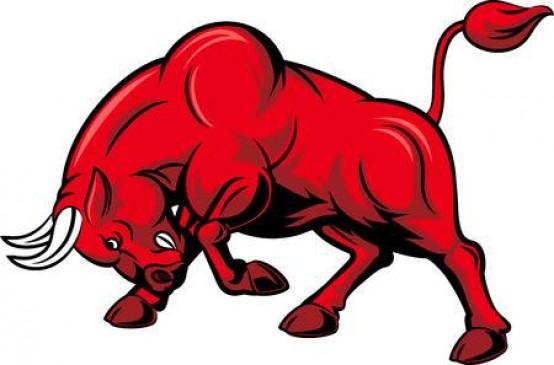 A man brutally died in the sudden attack of an angry bull on road
