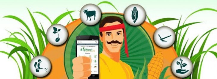कृषि मंडी ने ऑनलाईन व्यापार को बढ़ावा देने नियम किए सरल