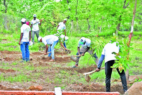 Beginning of the Van Mahotsav with plantation, children and old equally takes active part