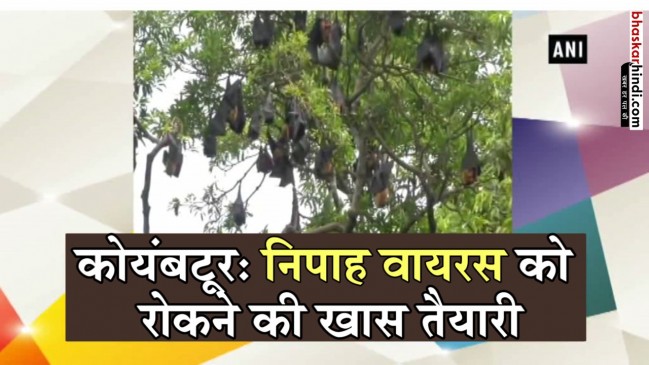 कोयंबटूर में निपाह वायरस को फैलने से रोकने के लिए किए गए हैं खास इंतजाम कोयंबटूर में निपाह वायरस को फैलने से रोकने के लिए किए गए हैं खास इंतजाम