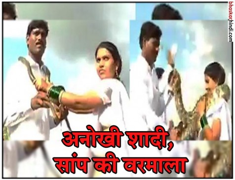 अनोखी शादी: वरमाला की जगह पहनाई दूल्हा-दुल्हन ने सांप की माला अनोखी शादी: वरमाला की जगह पहनाई दूल्हा-दुल्हन ने सांप की माला