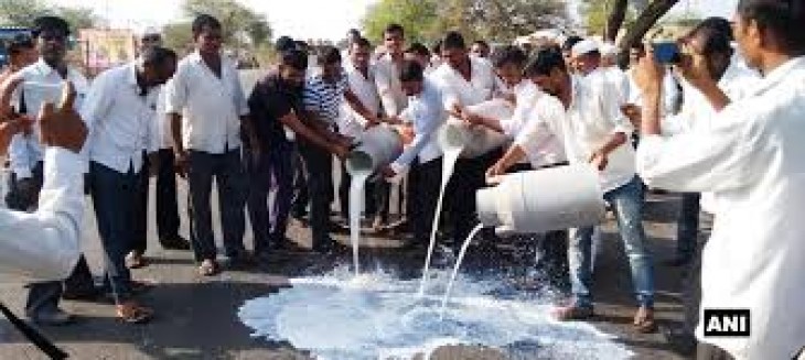 महाराष्ट्र : किसानों ने सड़क पर बहाया दूध, सरकार के विरोध में NCP ने बजाई पुंगी