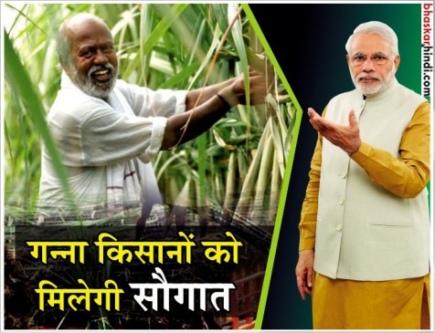 गन्ने की कीमत 20 रुपए प्रति क्विंटल बढ़ा सकती है मोदी सरकार गन्ने की कीमत 20 रुपए प्रति क्विंटल बढ़ा सकती है मोदी सरकार