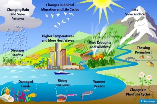 Need of 33 % forest area but only 11 % is left, danger for India