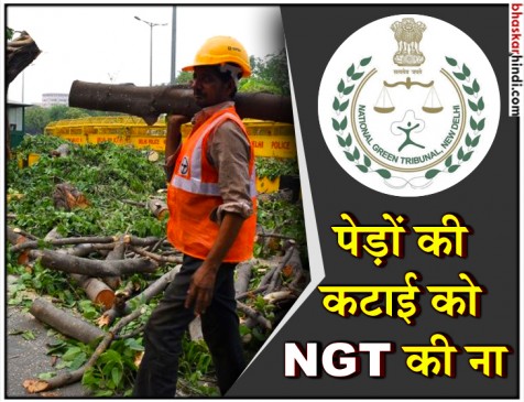दक्षिण दिल्ली में 16,500 पेड़ काटे जाने पर NGT ने लगाई रोक दक्षिण दिल्ली में 16,500 पेड़ काटे जाने पर NGT ने लगाई रोक