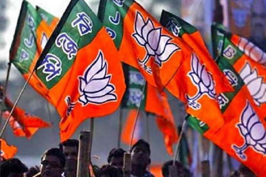 Not only sheep should also export of wild pigs - MLA Deshmukh
