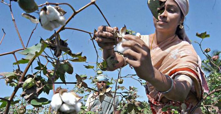 Technical information will given to Farmers in 3 tehsils of Wardha