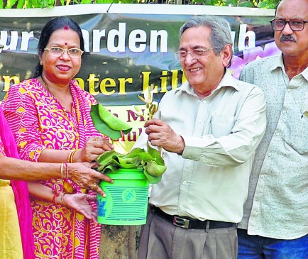 The lovely gift plant brings happiness in the life of everyone