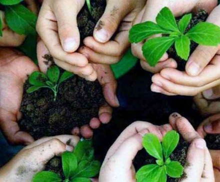 हरियाली अमावस्या: महत्व और कौन-कौन से पौधे करें रोपित हरियाली अमावस्या: महत्व और कौन-कौन से पौधे करें रोपित