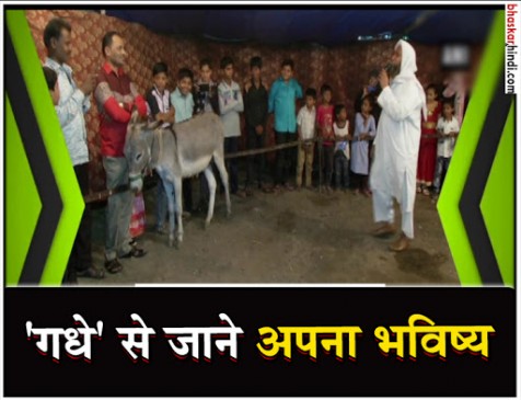 महज 20 रुपए में गधा पन्नालाल बताएगा आपका भविष्य! महज 20 रुपए में गधा पन्नालाल बताएगा आपका भविष्य!