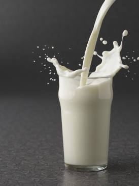 Children will be given special milk from tomorrow in government school