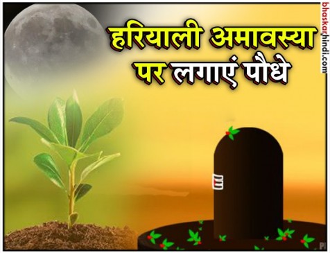 हरियाली अमावस्या: महत्व और कौन-कौन से पौधे करें रोपित हरियाली अमावस्या: महत्व और कौन-कौन से पौधे करें रोपित
