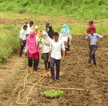 Innovation : Cultivation of flowers is done from the sewage water