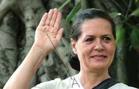 जानिए कैसे सूर्य रेखा दिलाती है समाज में पद और प्रतिष्ठा? जानिए कैसे सूर्य रेखा दिलाती है समाज में पद और प्रतिष्ठा?