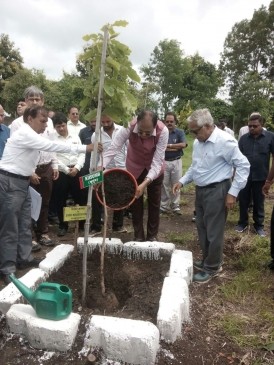 Metro starts its plantation project of the 11 thousand plants