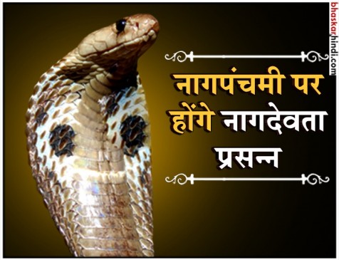 दूध पिलाने से जा सकती है सांप की जान, जानिए पूजा का शुभ मुहूर्त दूध पिलाने से जा सकती है सांप की जान, जानिए पूजा का शुभ मुहूर्त