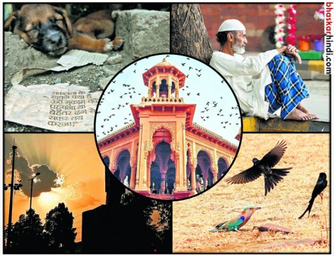 Smart Nagpur, Smart Photographs results on the World Photography Day announced