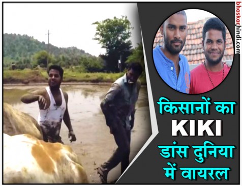 धान के खेत में नाचकर 2 किसानों ने जीता KIKI चैलेंज, बैलों को बनाया कार