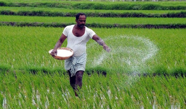 Agriculture of cotton, maize to be reduced with less rain