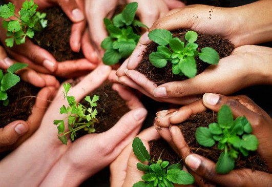 Eco friendly work will start to reduce paper in the High Court