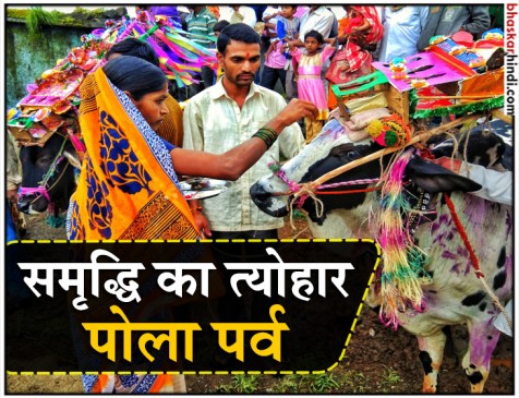 बैलों की पूजा का दिन तान्हा पोला, महाराष्ट्र में मनेगा धूम-धाम से बैलों की पूजा का दिन तान्हा पोला, महाराष्ट्र में मनेगा धूम-धाम से