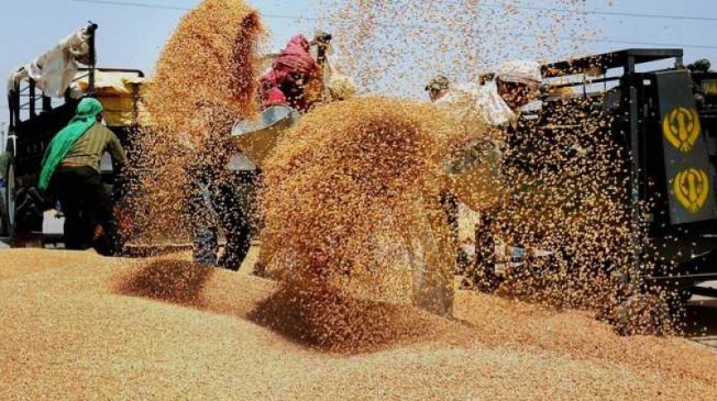 Nafed will buy soybean, moong and urad dal on MSP in maharashtra