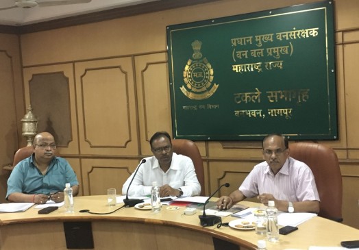 86409 hectares shrimp forest in six districts of east Vidarbha maharashtra