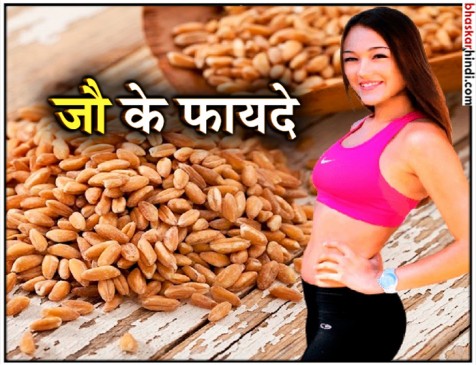 मोटापे कम करने से लेकर खूबसूरती बढ़ाने में मदद करता है जौ 