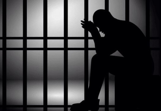 Comment on Judges in social media, accused Convicted jail for 3 months